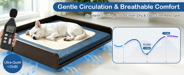 Ultra-quiet airflow pet bed with gentle circulation for fresh dry breathable comfort