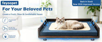feyoopet airflow pet bed creating a fresh clean and comfortable haven for pets